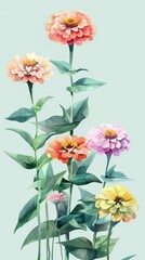 A watercolor illustration of a zinnia surrounded by a floral border, set against a light teal background