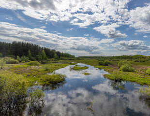 Fototapeta premium A tranquil river winds through a lush green landscape under a bright blue sky dotted with fluffy white clouds. The reflection of the clouds on the water creates a stunning mirror image.