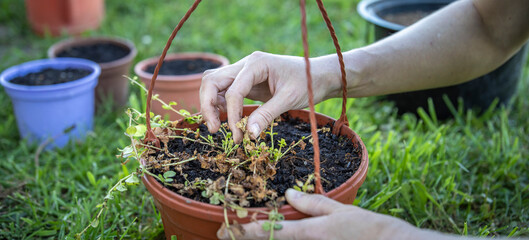 A person tenderly holds a potted plant in the lush grass, connecting with the beauty of nature.