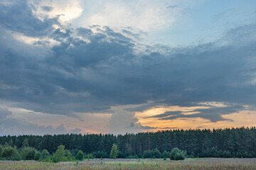 A wide shot of a forest edge at sunset, with dark clouds above and a field of grass in the foreground.