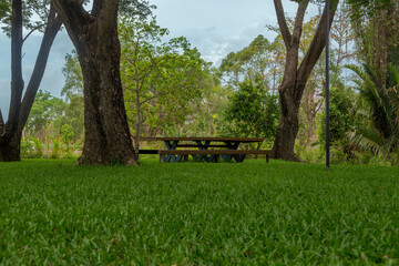 A park with a picnic table and two trees