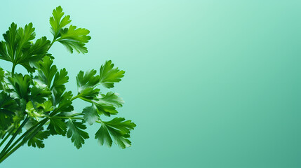 Fresh green leaves close-up