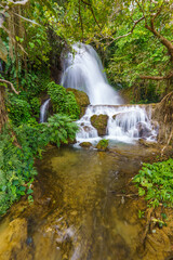Tiny waterfall hidden in a jungle