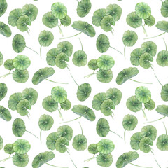 Green centella asiatica seamless pattern, vibrant foliage textile, greenery clipart. Watercolor gotu kola botanical print design for clothes, wallpaper, wrapping paper, scrapbooking, apparel, beauty