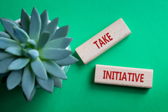 Take initiative symbol. Wooden blocks with words Take initiative. Beautiful green background with succulent plant. Business and Take initiative concept. Copy space.