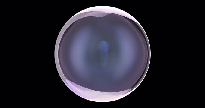Soap bubble, rotation animation seamlessly loopable. 3D rendering isolated on transparent background
