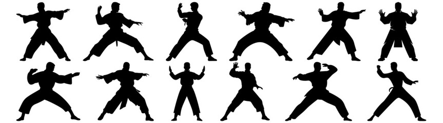 Fighter karate kung fu silhouette set vector design big pack of illustration and icon
