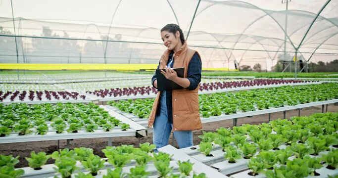 Farm, clipboard and girl walking in greenhouse for plant growth inspection, notes or checklist in nature. Agriculture, sustainability and agro manager with documents for botany, compost or inventory