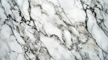 Background of white marble