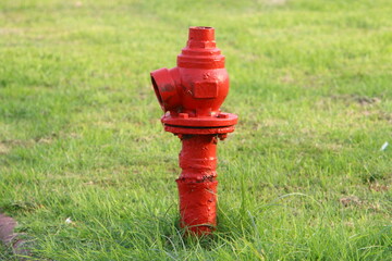 Metal water pipes and taps