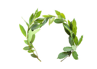 laurel crown twig isolated on  transparent background © de Art