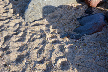 Top view of footprints on sand in desert near stone boulders
