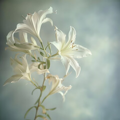 Fototapeta premium Close-up of a beautiful white lily arrangement in ikebana style, showcasing the serene beauty of nature.