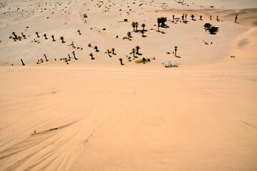 Top view from sand dune to desert landscape and oasis palm trees below and tourist resting place