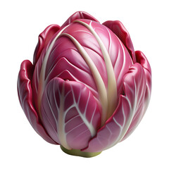 Obraz premium Radicchio Vegetable Hyperrealistic Highly Detailed Isolated On Plain White Background