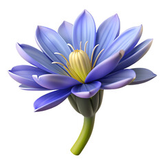 Chicory  Flower Hyperrealistic Highly Detailed Isolated On Plain White Background