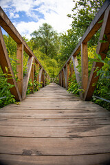 wooden bridge in the forest
