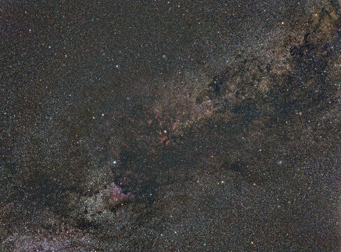 The Cygnus star constellation, night sky, cluster of stars, deep space, nebula. Swan constellation, Northern Cross