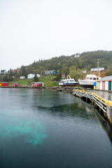 Foggy Newfoundland Landscape with ocean and mountains