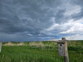 A weathered birds nest hangs from a wooden fence post in the foreground as dark moody summer thunderstorm clouds gather over a green agricultural field.