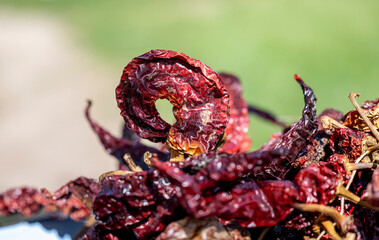 Artistic photo of hot dried peppers. The peppers are in the pile. Green blurred background with space for text.