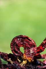 Artistic photo of hot dried peppers. The peppers are in the pile. Green blurred background with space for text.