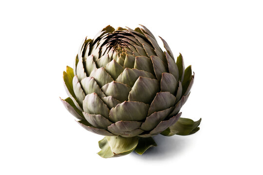 A fresh green artichoke with rich texture isolated on a transparent, white background, compatible with png format