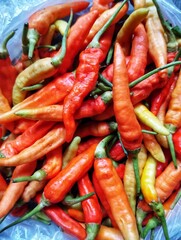The fresh red hot chili in the market