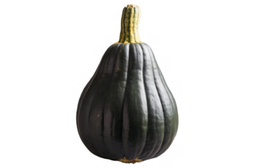 Whole acorn squash with dark green skin on a transparent, white background, png