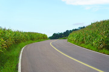 The image shows a rural road with green fields on both sides and blue sky with clouds in the background.