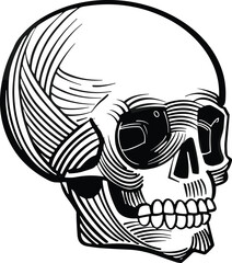 vector sketch illustration of a skull