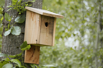 Birdhouse in the forest at Maplewood Mudflats Wild Bird Trust during a spring season in North Vancouver, British Columbia, Canada
