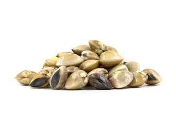 Closed up fresh baby clams, venus shell, shellfish, carpet clams, short necked clams, as raw food from the sea are the seafood ingredients. fresh clams isolated on white background.