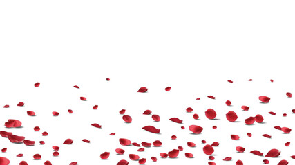 Red rose petals will fall on abstract floral background with gorgeous rose petal greeting card design.