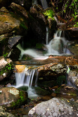 Small waterfall by the road, Great Smoky Mountains National Park