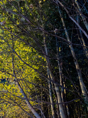 Glasgow, Scotland, United Kingdom