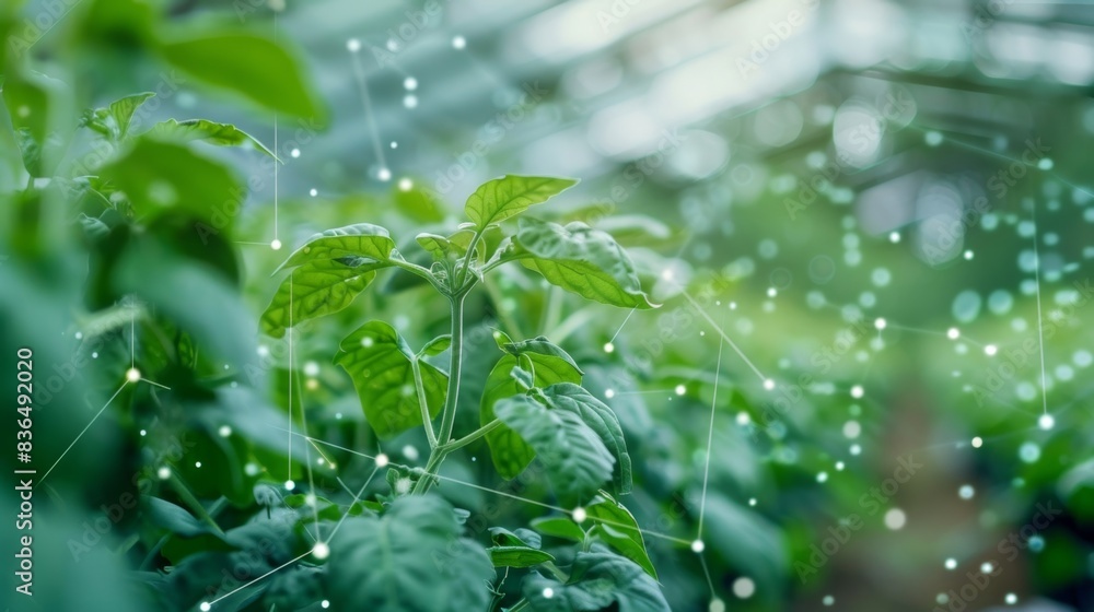 Aufkleber a greenhouse equipped with iot devices connected to the cloud to provide realtime data on temperatur