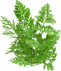 LAYER-LAB_0317172677_LC