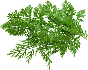 LAYER-LAB_0317172707_LC