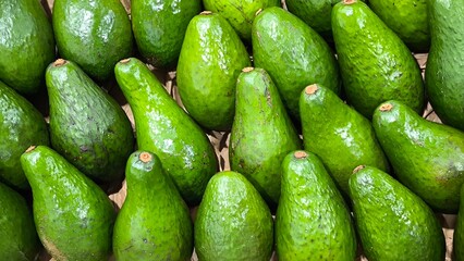 Avocado in the fruit shop