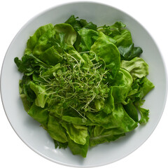 LAYER-LAB_1501205786_LC