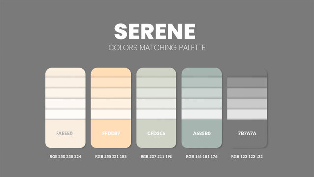 Color palette guide in Serene colour theme collections. Color inspiration or chart with codes template. Color combination RGB. Colors swatches for graphic design, art, fashion or painting. Vector.