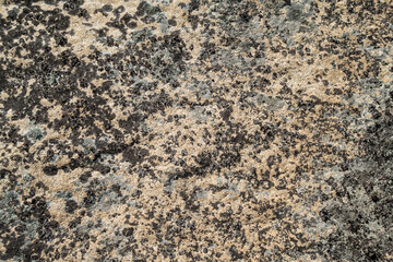 Texture of natural stone, background