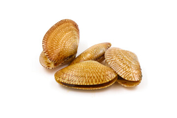 Fried clams with chilli paste on a white background