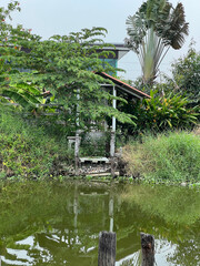 beautiful view of the lake in the park