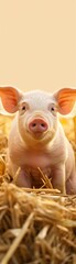 Adorable piglet standing on straw, looking directly at the camera against a warm background. Perfect for farm and animal-themed content.