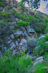 Obraz premium Hiking on the Buena Vista Trail in Montecito California 