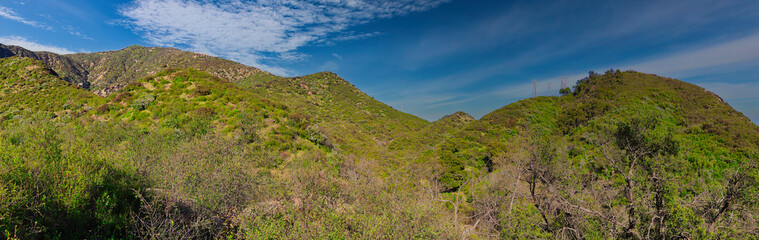Fototapeta premium Hiking on the Buena Vista trail in Montecito California