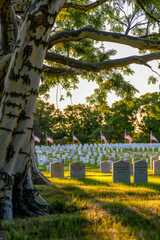 A serene, early morning image of a Military Cemetery on Independence Day,
