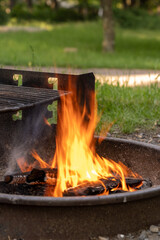 campfire in the forest